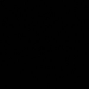 Meet your Posher, Tiana